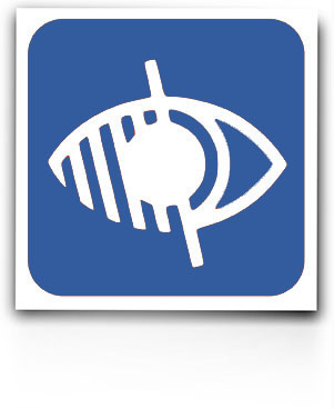 logo handicap visuel