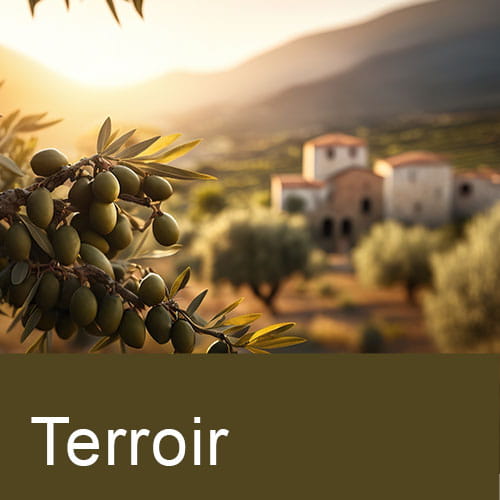 sélection de romans du terroir