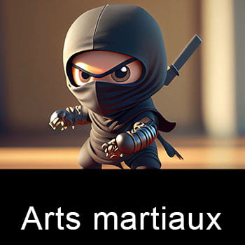 Sélectino de films d'arts martiaux